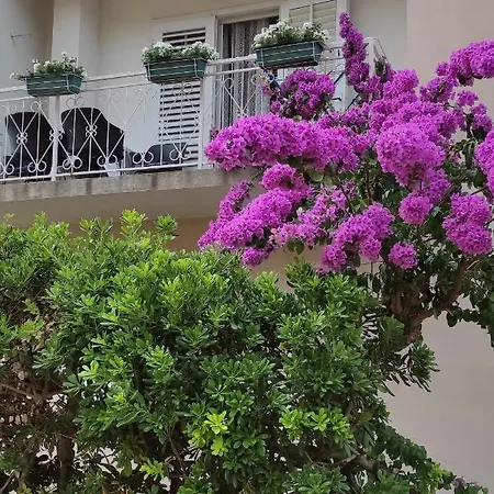 By The Sea Trpanj, Peljesac - 14309 Apartman Trpanj